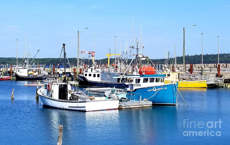 Beaver Harbour NB by Michael Graham Beaver Harbour NB by Michael Graham
