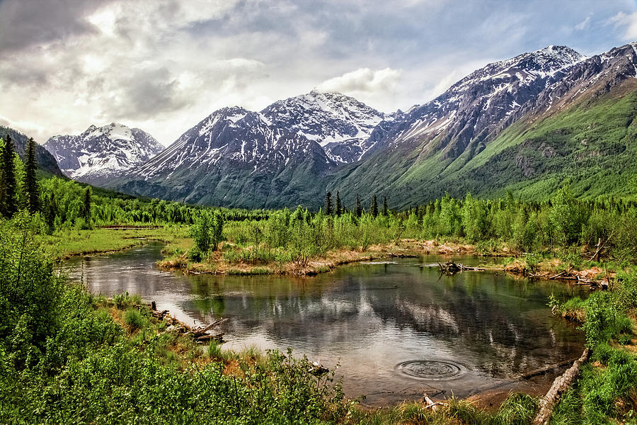 Beaver Pond, Eagle River AK Photograph by James Capo