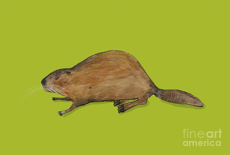 Beaver Painting by Sarah Thompson-engels