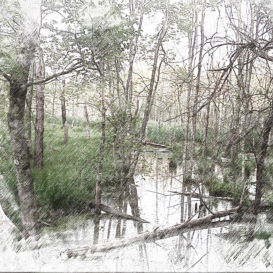 Beaver stream Digital Art by Steve Glines