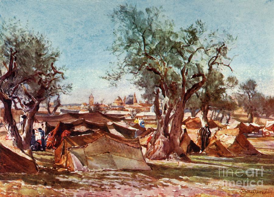 Bedouin Encampment Outside The North Drawing by Print Collector