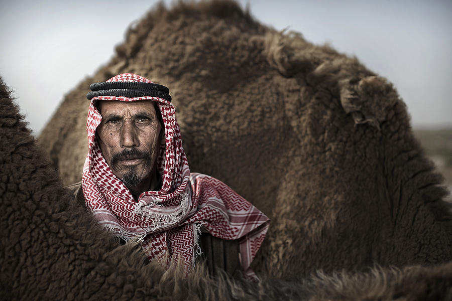 Iraq Photograph - Bedouins Of Iraq by Ghaith Salih