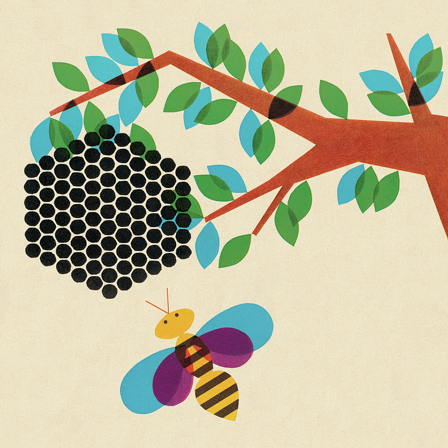 Nature Drawing - Bee and Honeycomb in Tree by CSA Images