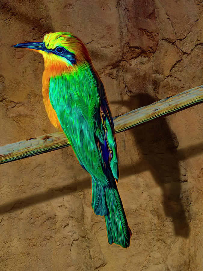 Bee Eater Photograph by Paul Wear