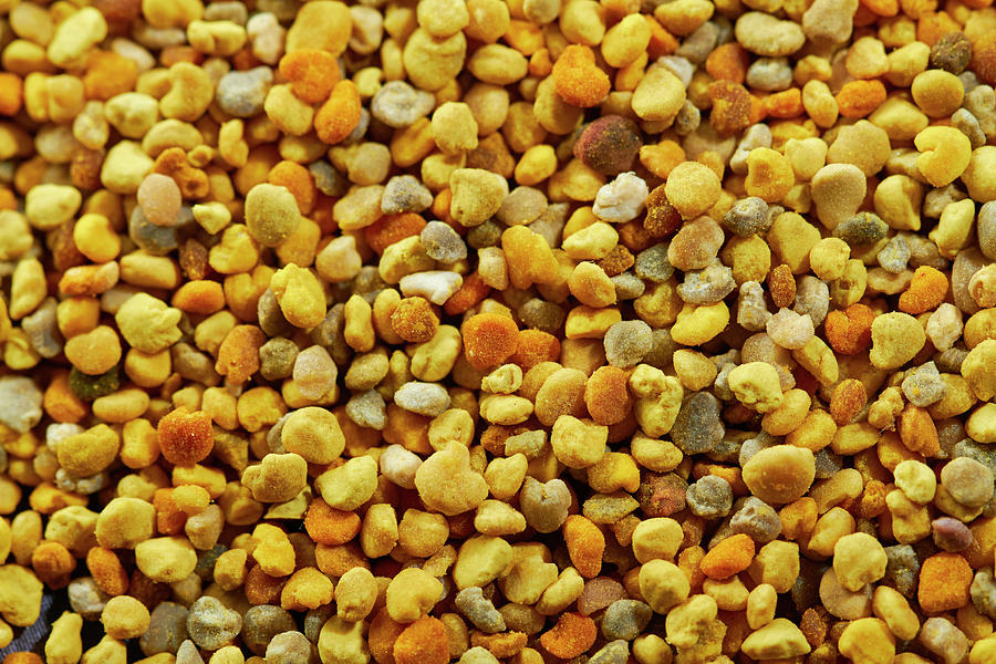 Bee Pollen full Picture Photograph by Miriam Rapado