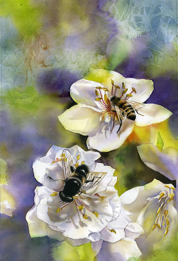 Bee With Pear Blossom Painting by Alfred Ng
