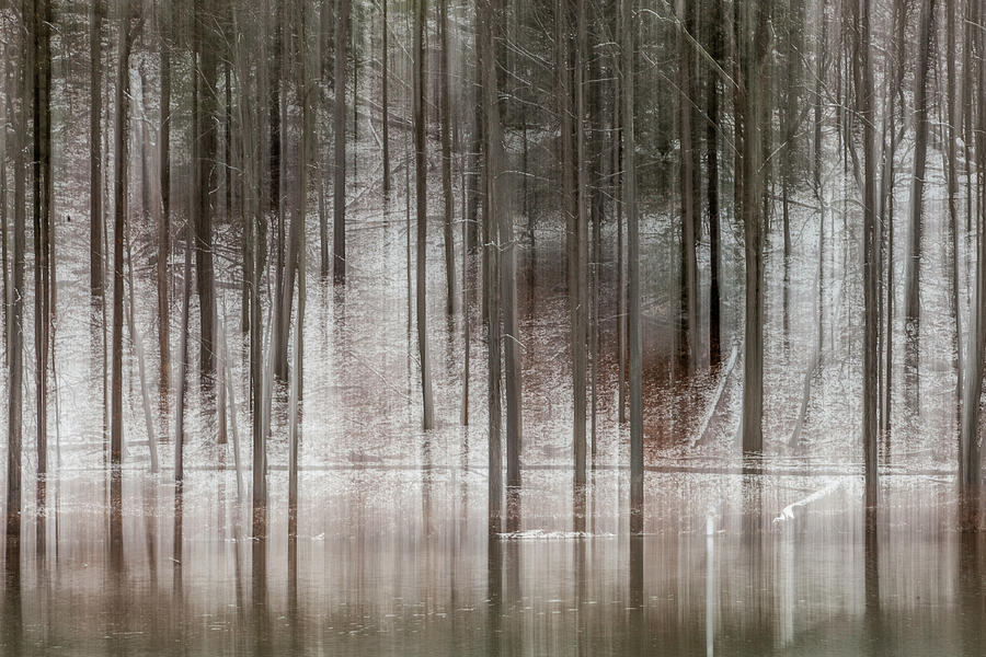 Beebe Lake Winter Photograph by Barbara Friedman
