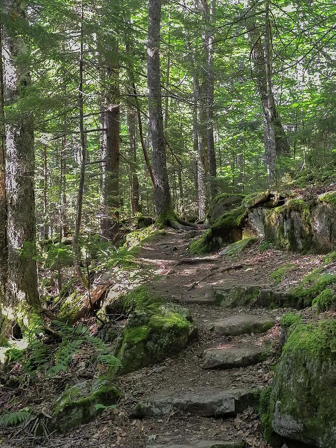Beech Mountain trail Acadia National Park by NaturesPix Beech Mountain trail Acadia National Park by NaturesPix