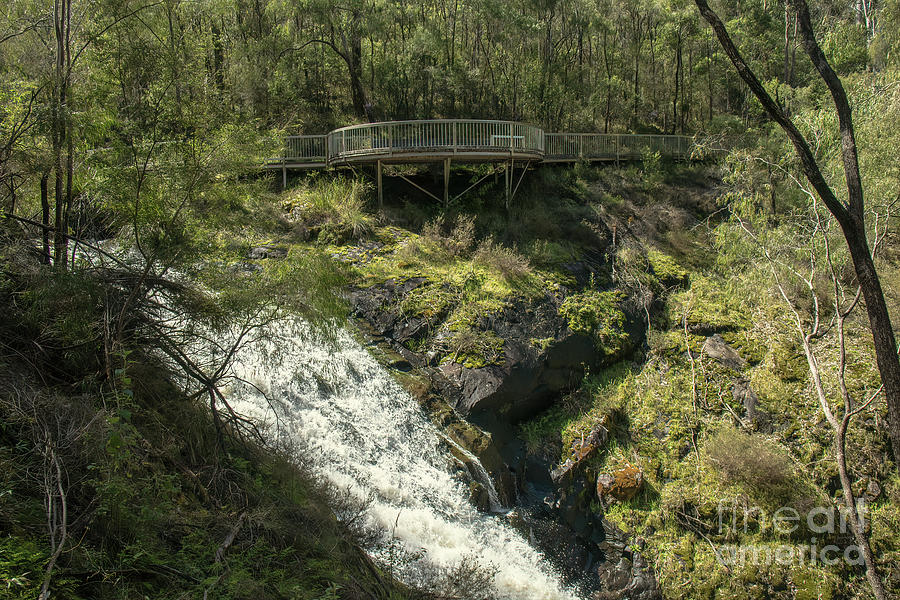Beedelup Falls, Pemberton, Western Australia by Elaine Teague Beedelup Falls, Pemberton, Western Australia by Elaine Teague