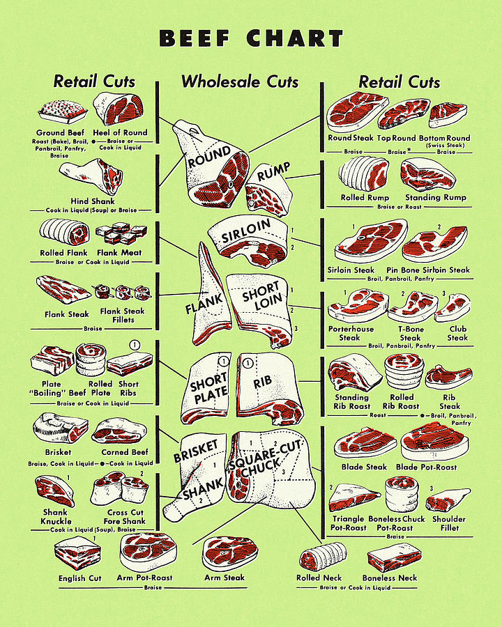 Vintage Drawing - Beef Chart by CSA Images