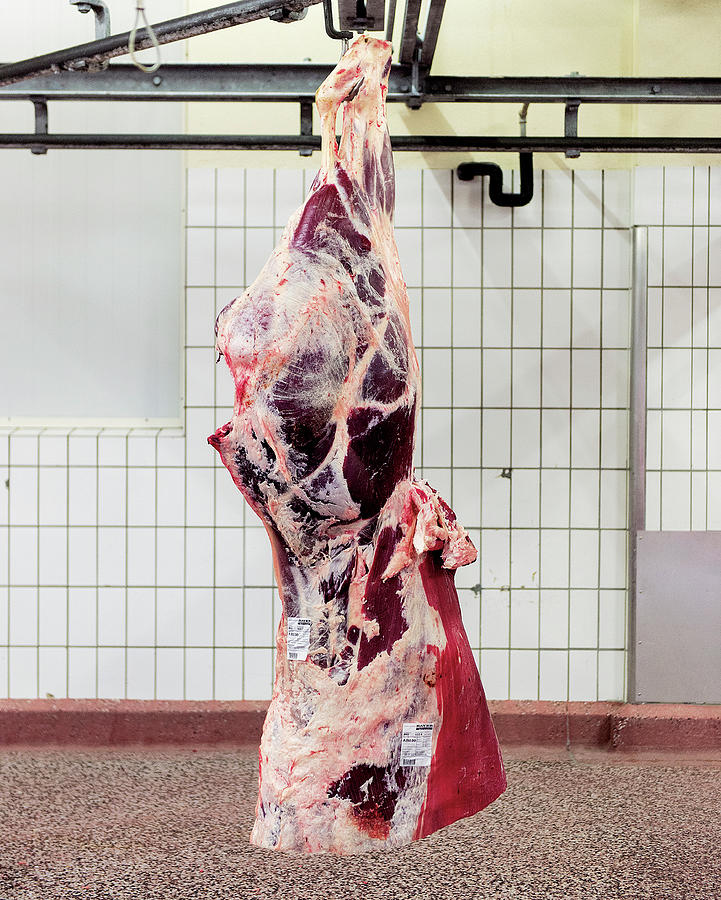 Beef Hind Quarters On A Hook Photograph by Tre Torri