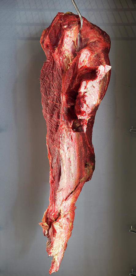 Beef On A Butchers Hook Photograph by Hugh Johnson