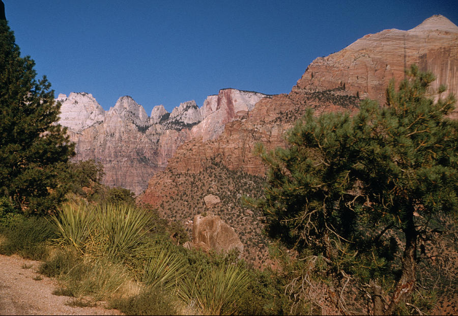 https://images.fineartamerica.com/images/artworkimages/mediumlarge/2/beehive-rock-formations-at-zion-national-park-utah-utah300-00210-kevin-russell.jpg