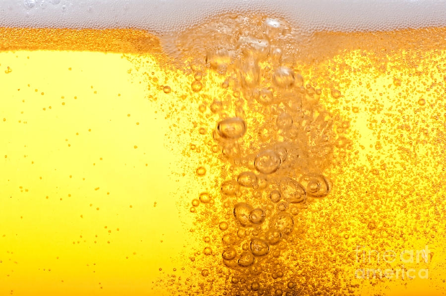 Drop Photograph - Beer Bubbles In The High Magnification by Faferek Drop Photograph - Beer Bubbles In The High Magnification by Faferek
