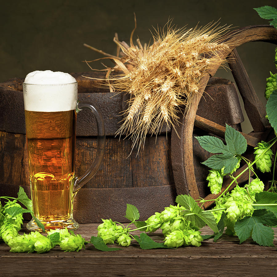 Beer With Raw Material For Beer Production Photograph by Vaclav Mach
