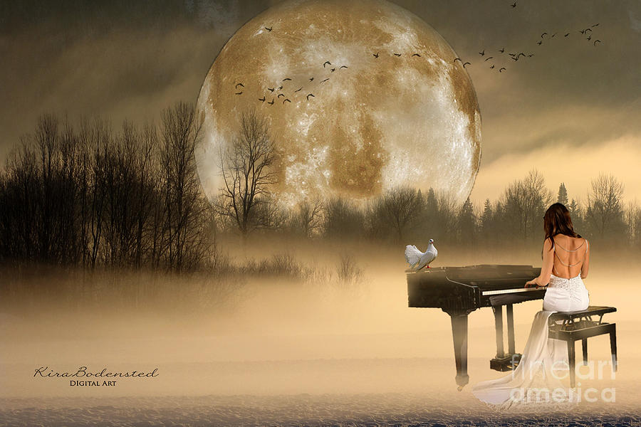 Beethoven Moonlight Sonata Photograph by Kira Bodensted