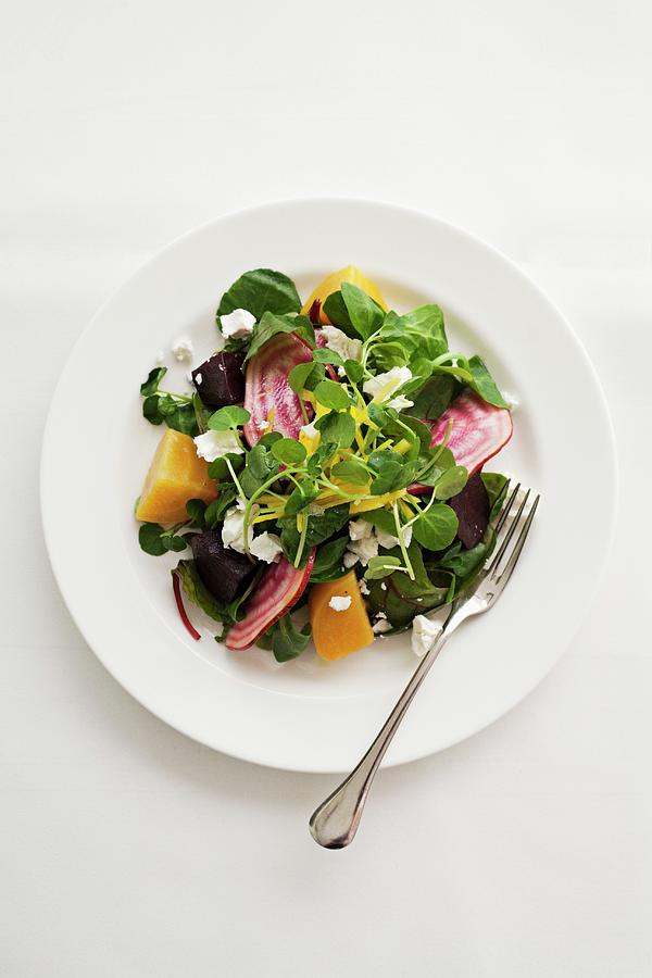 Beetroot And Golden Beet Salad With Watercress And Goats Cheese Photograph by Steven Joyce