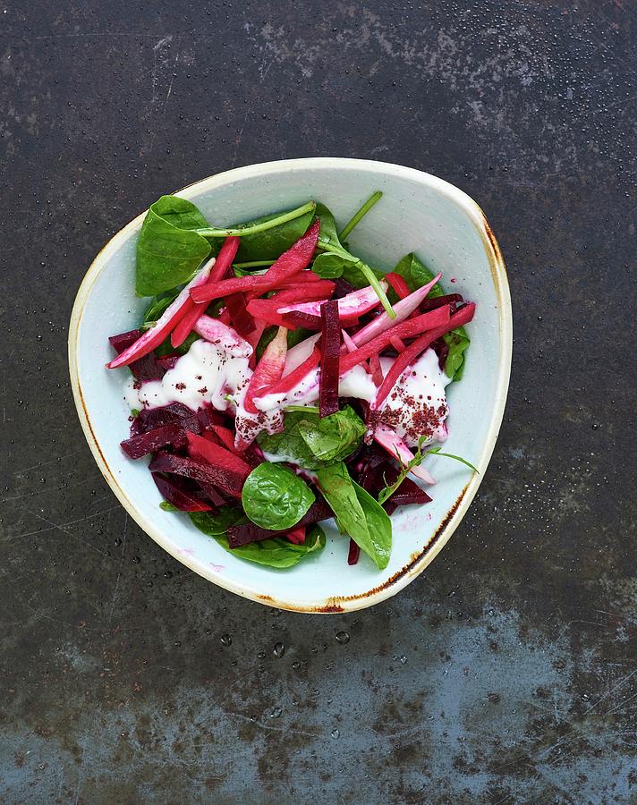 Beetroot And Spinach Salad lebanon Photograph by Robbert Koene