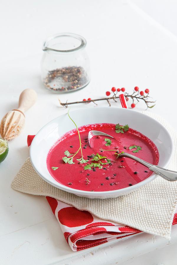Beetroot Soup Photograph by Syl Loves
