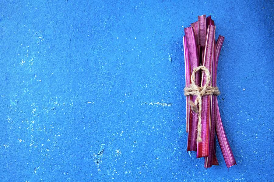 Beetroot Stems On A Blue Surface Photograph by Nika Moskalenko
