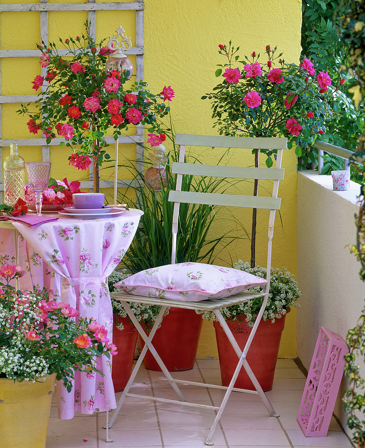 Balcony Photograph - Before / After Balcony, Pink rose, Stems And Box by Friedrich Strauss
