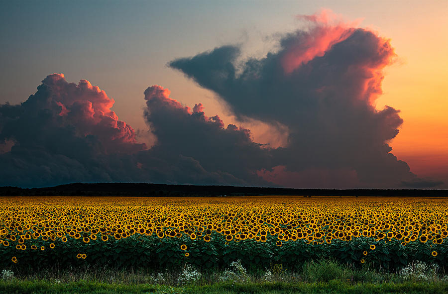 Sunset Photograph - Before Sunset by Dmitry Nesvetaylov