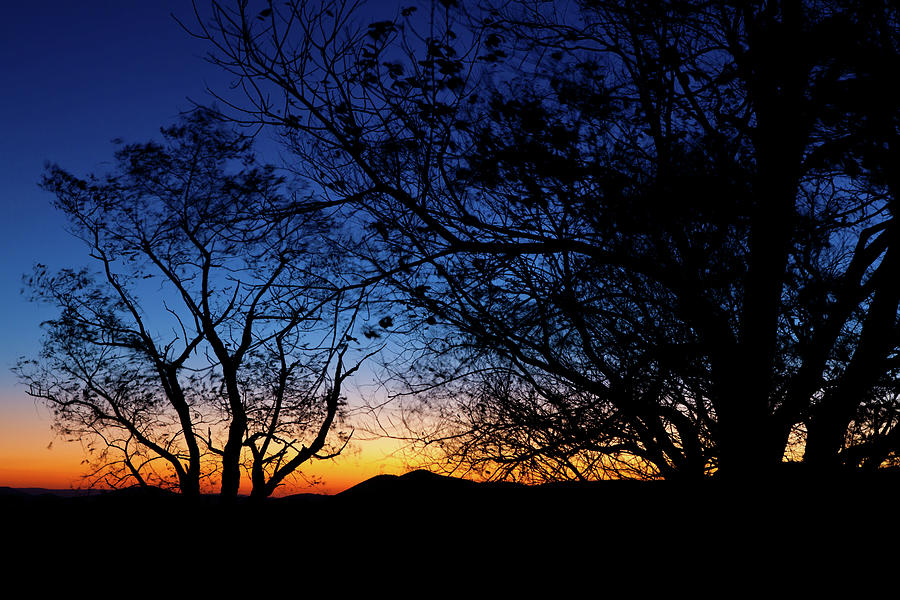 Before the Dawn Photograph by Dan Carmichael