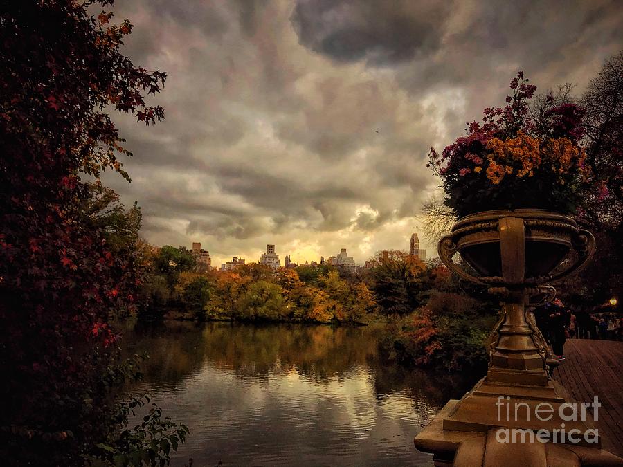 Before the Storm - Central Park New York Photograph by Miriam Danar