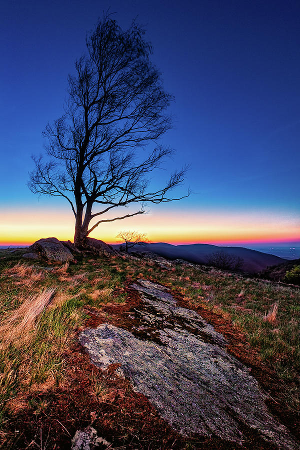 Before the Sunrise in the Blue Ridge Photograph by Dan Carmichael