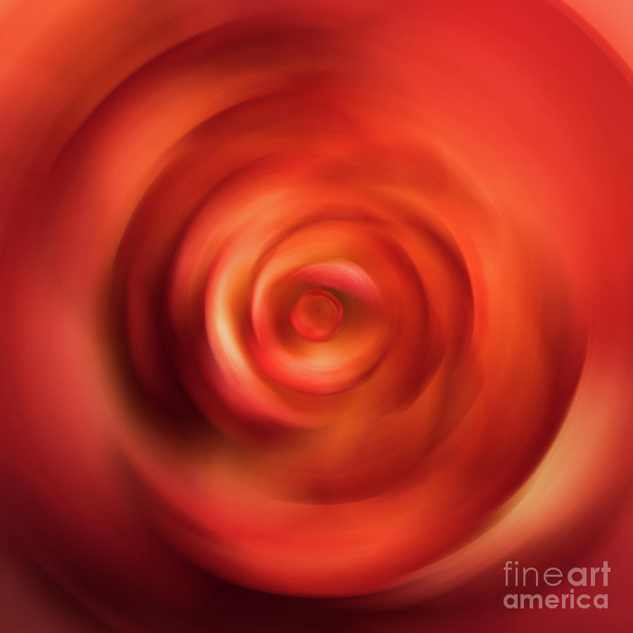Begonia Spinning by David R Mann Begonia Spinning by David R Mann