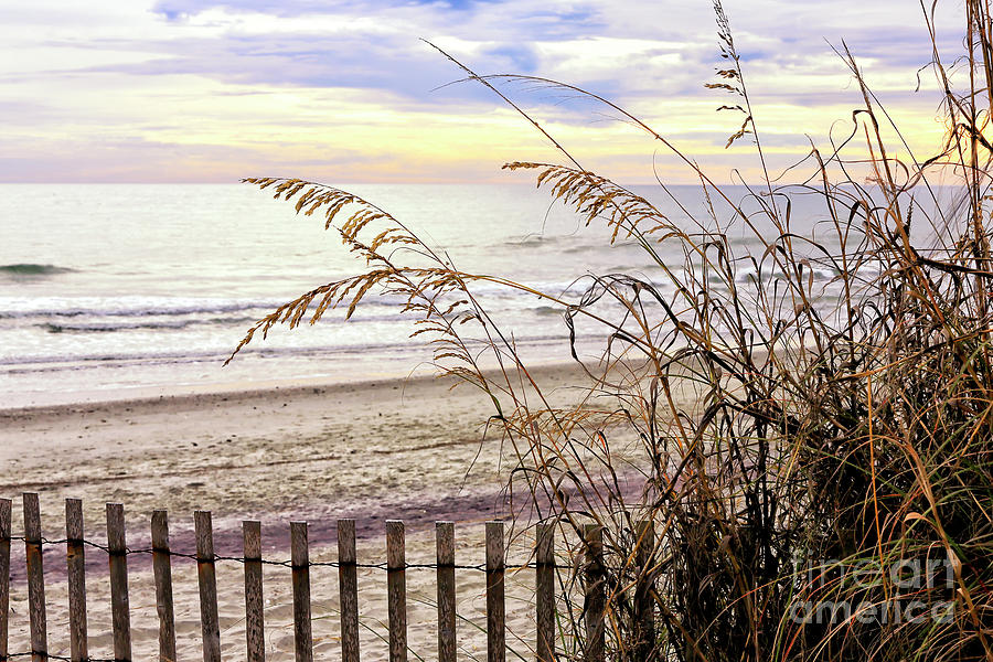 Behind the Dune Fence North Myrtle Beach Photograph by John Rizzuto