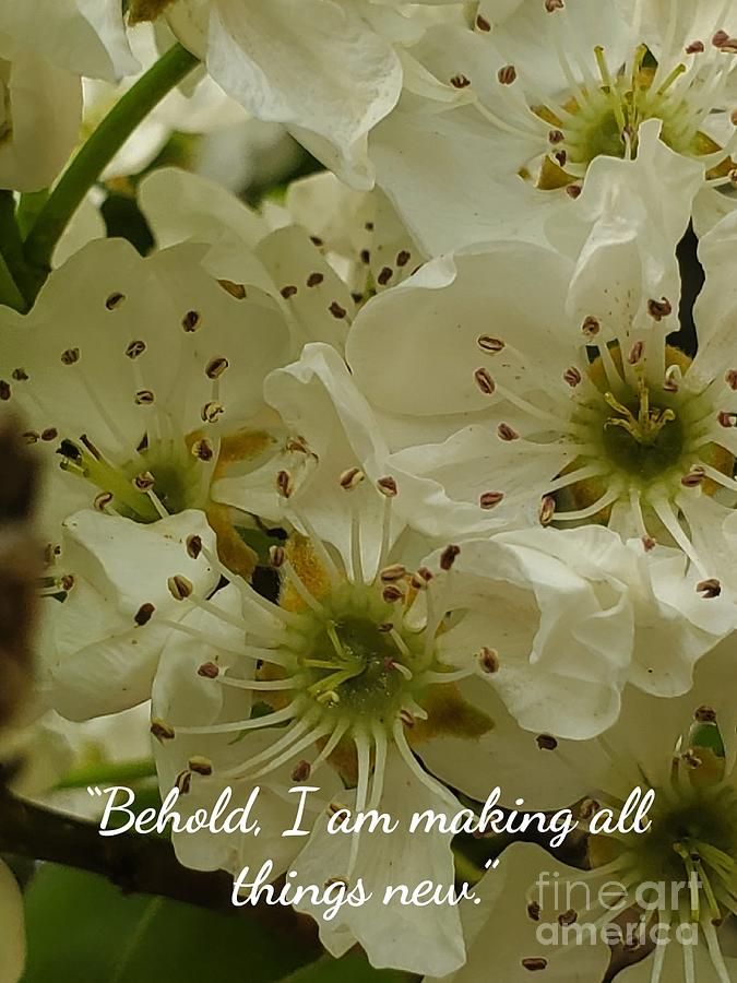 God Photograph - Behold I am making all things new by Beverly Elliott