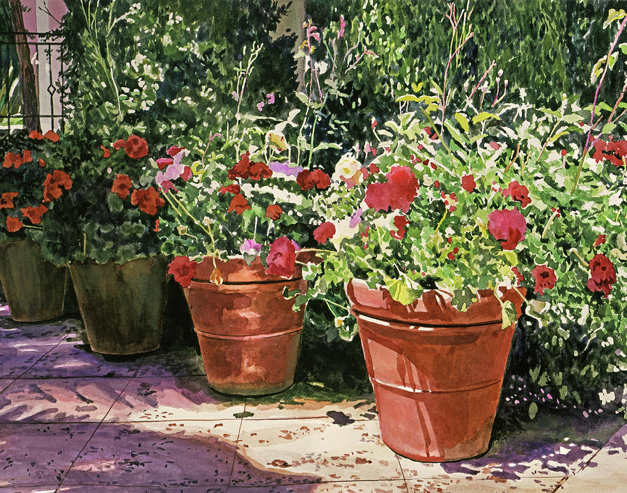 Bel-air Hotel Container Garden Painting by David Lloyd Glover