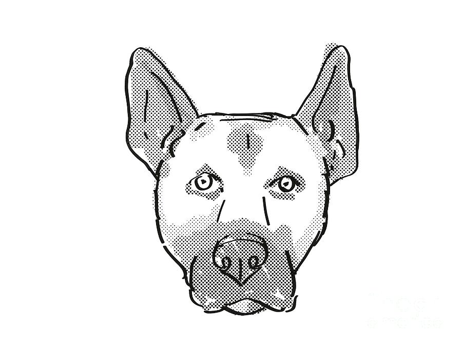 Belgian Malinois Dog Breed Cartoon Retro Drawing Digital Art