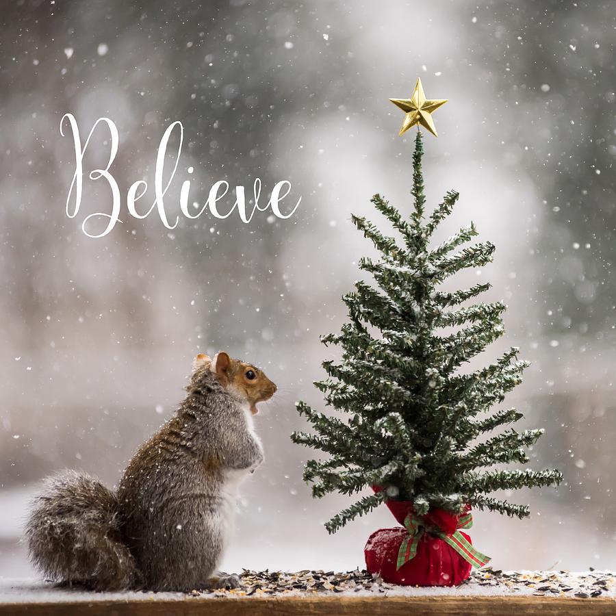 Believe Christmas Tree Squirrel Square Photograph