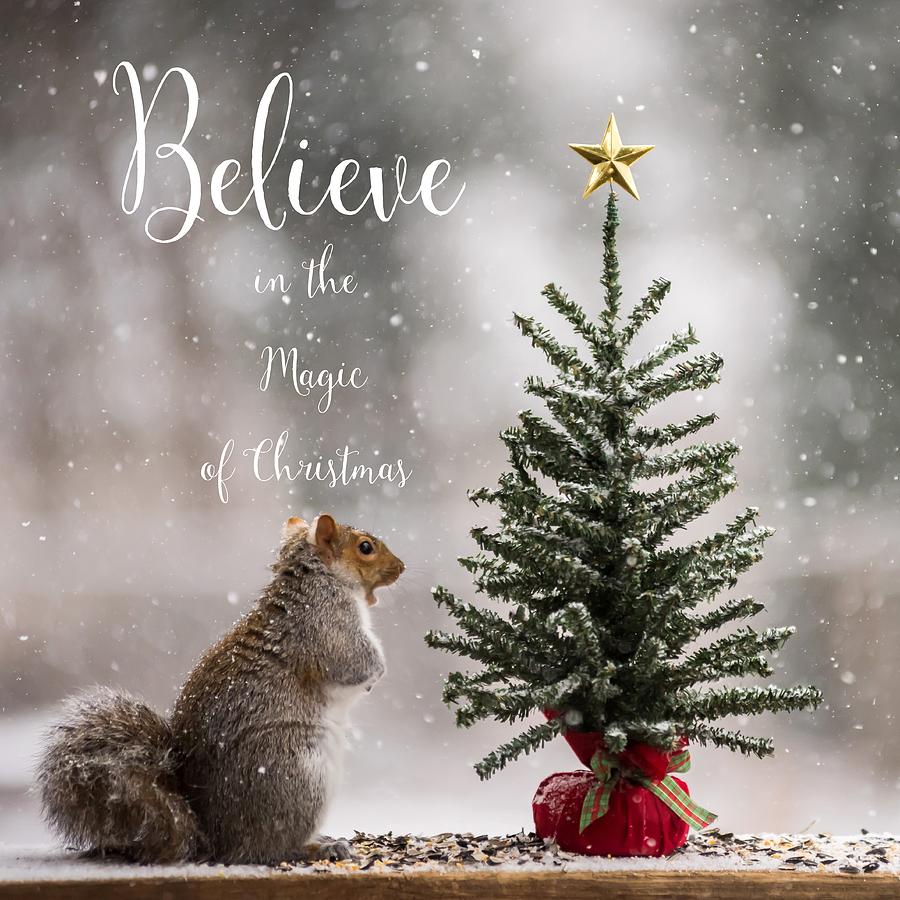 Believe In The Magic Of Christmas Squirrel Square Photograph