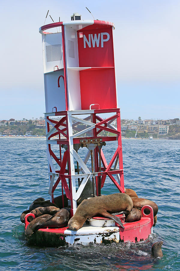Bell Buoy Photograph