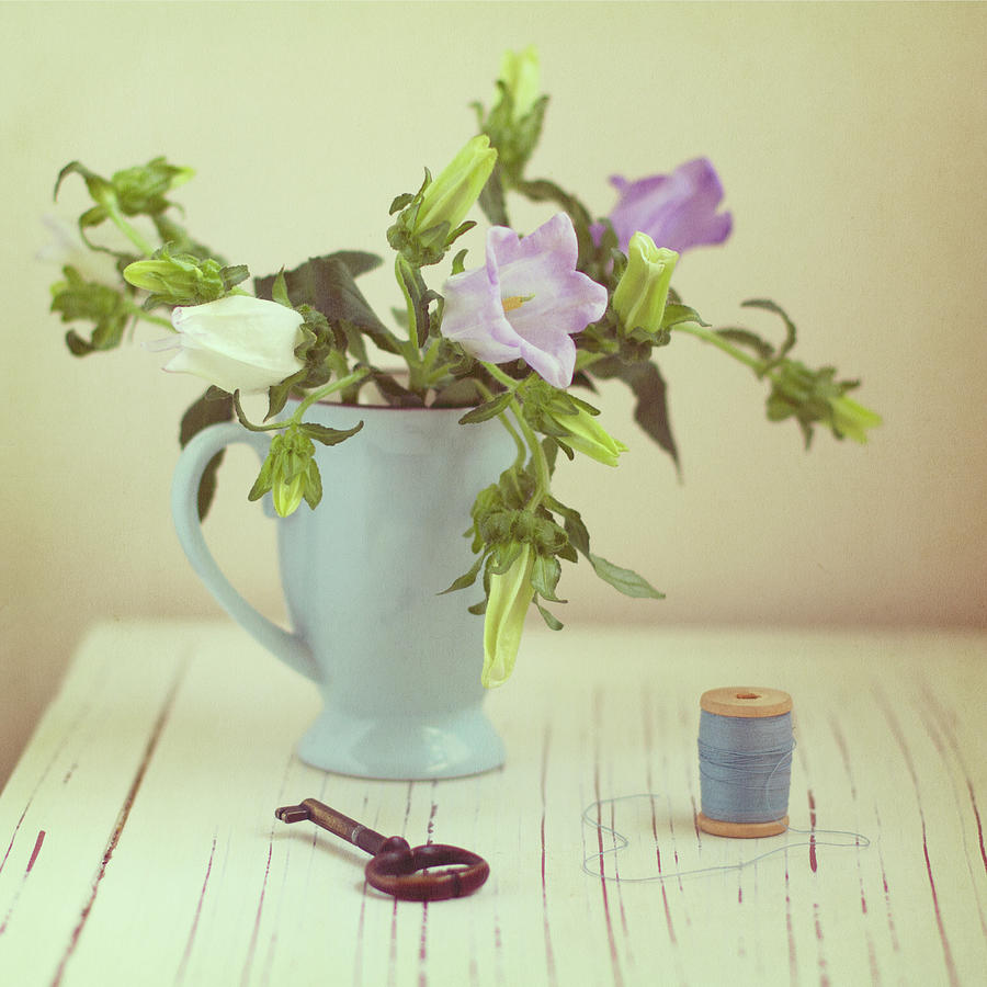 Bell Shape Flowers, Key And Vintage Photograph by Copyright Anna Nemoy(xaomena)