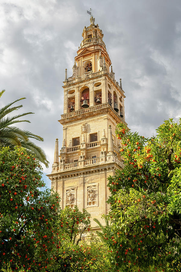 Bell Tower Cordoba Spain Photograph by Joan Carroll