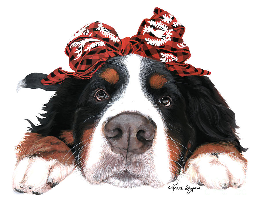 Bernese Mountain Dog  Painting - Bella Bow by Liane Weyers