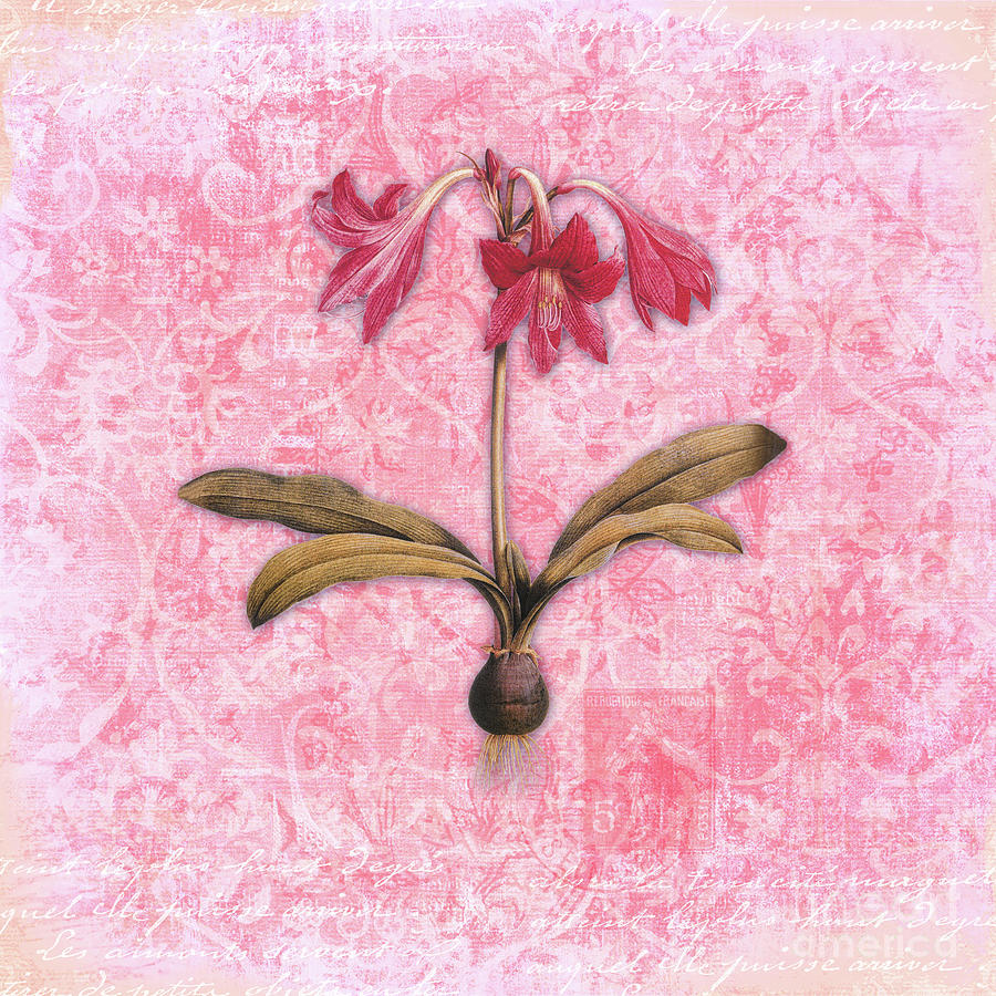 Belladonna In Paris Botanical French Floral art Painting by Tina Lavoie