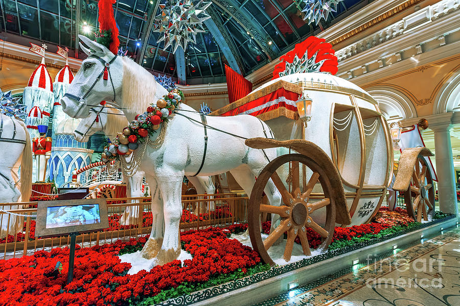 Bellagio Christmas Horse and Carriage Close Side Shot 2018 Photograph by Aloha Art