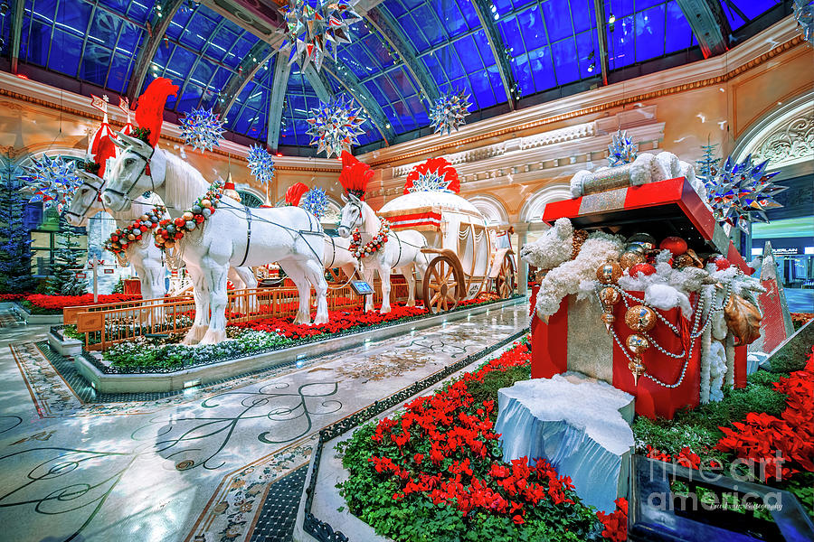 Bellagio Christmas Horse Carriage Decorations Ultra Wide Side Shot at Dawn 2018 Photograph by Aloha Art