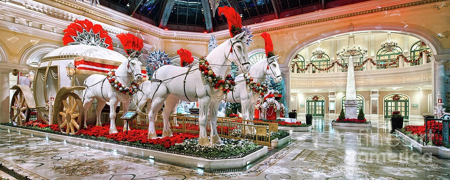 Bellagio Conservatory Christmas Horse Carriage Entrance Ultra Wide Side Shot 2018 2.5 to 1 Photograph by Aloha Art