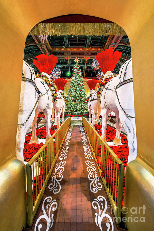 Bellagio Conservatory Christmas Tree View From Carriage 2018 Photograph by Aloha Art