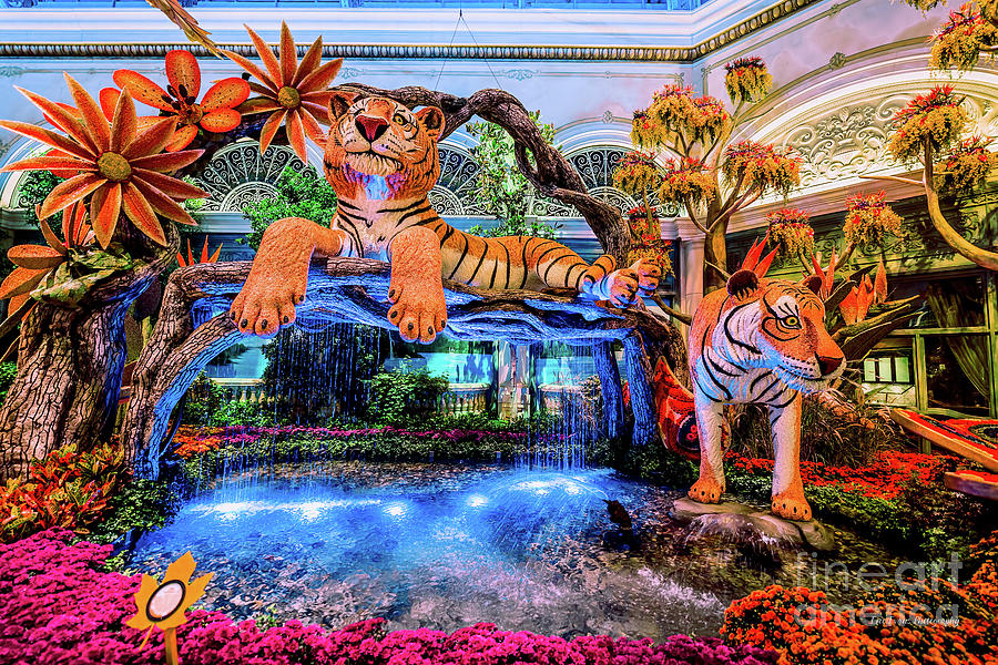 Las Vegas Photograph - Bellagio Conservatory Falling Asleep Tiger Display 2018 by Aloha Art