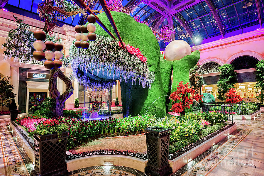 Bellagio Conservatory Spring Display Front Side View 2018 Photograph by Aloha Art
