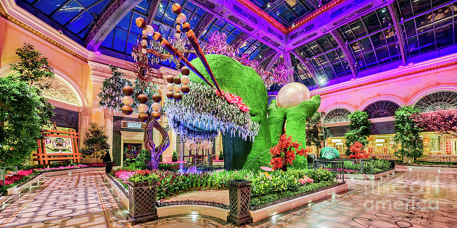 Las Vegas Photograph - Bellagio Conservatory Spring Display Front Side View Wide 2018 2 to 1 Aspect Ratio by Aloha Art