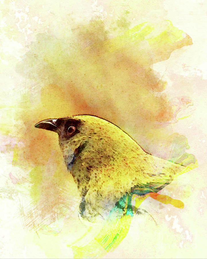 Bellbird Digital Art by Tracey Lee Cassin