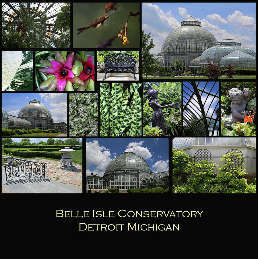 Belle Isle Conservatory Detroit MI Photograph by Mary Bedy